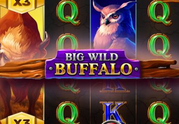 Слот Big Wild Buffalo в казино Олимпия